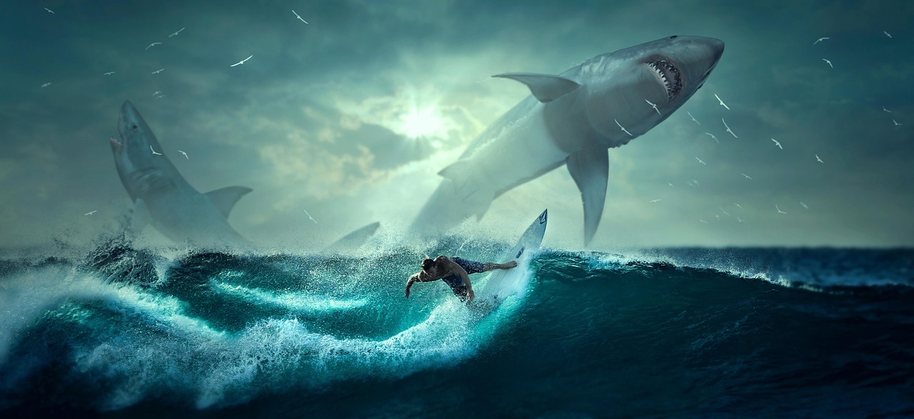 Fear Fuels Growth